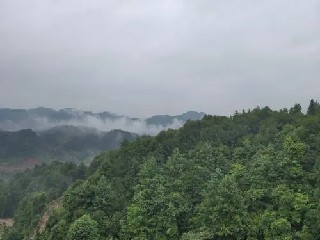 干劲的开关是不是关了干劲的开关是不是关了......《要领工作法》摘录